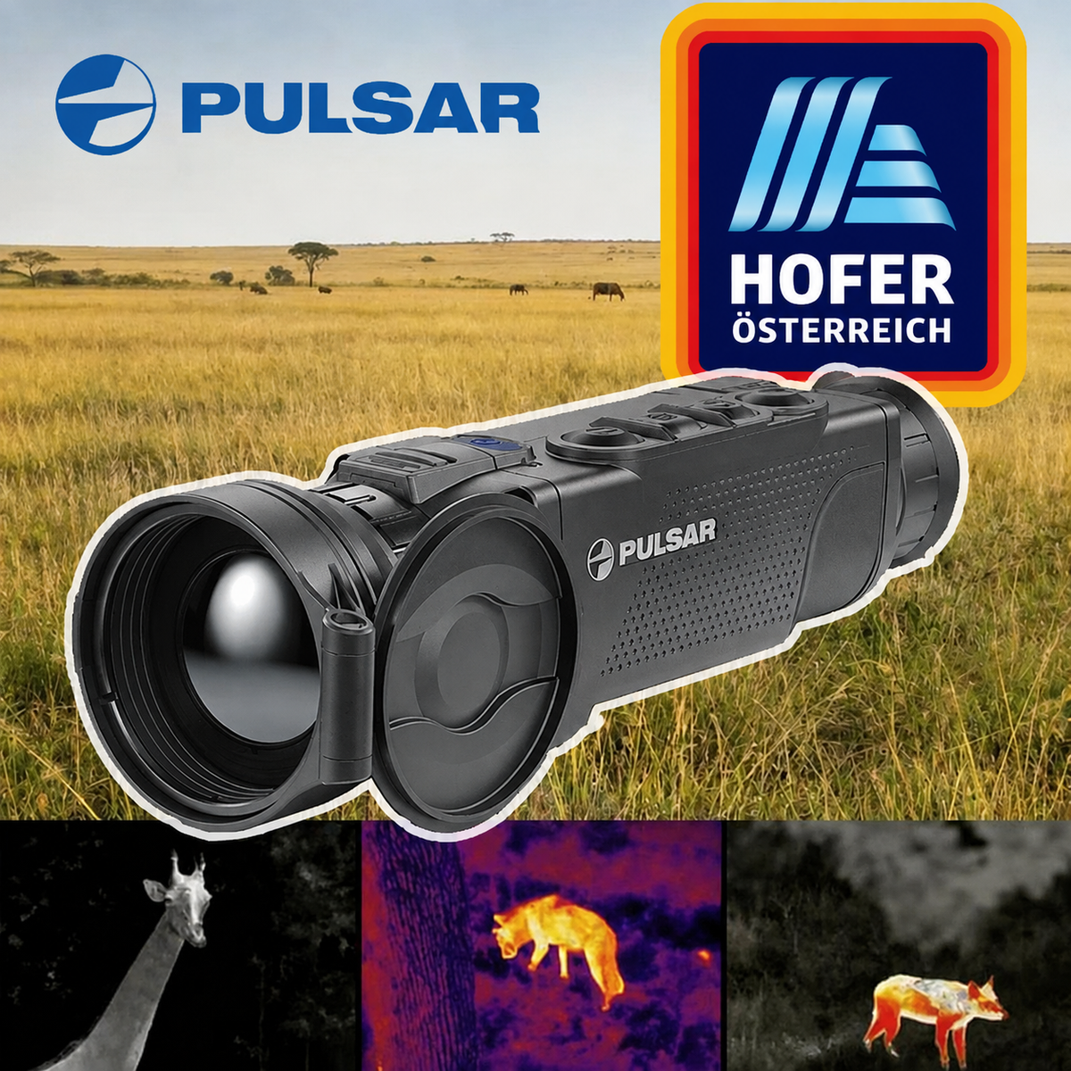 [Jahrhundert-Schnäppchen] Die Wärmebildkamera PULSAR Helion 2 XP50 ist um 95 % reduziert! Zu einem Wahnsinnspreis von nur 159 €!